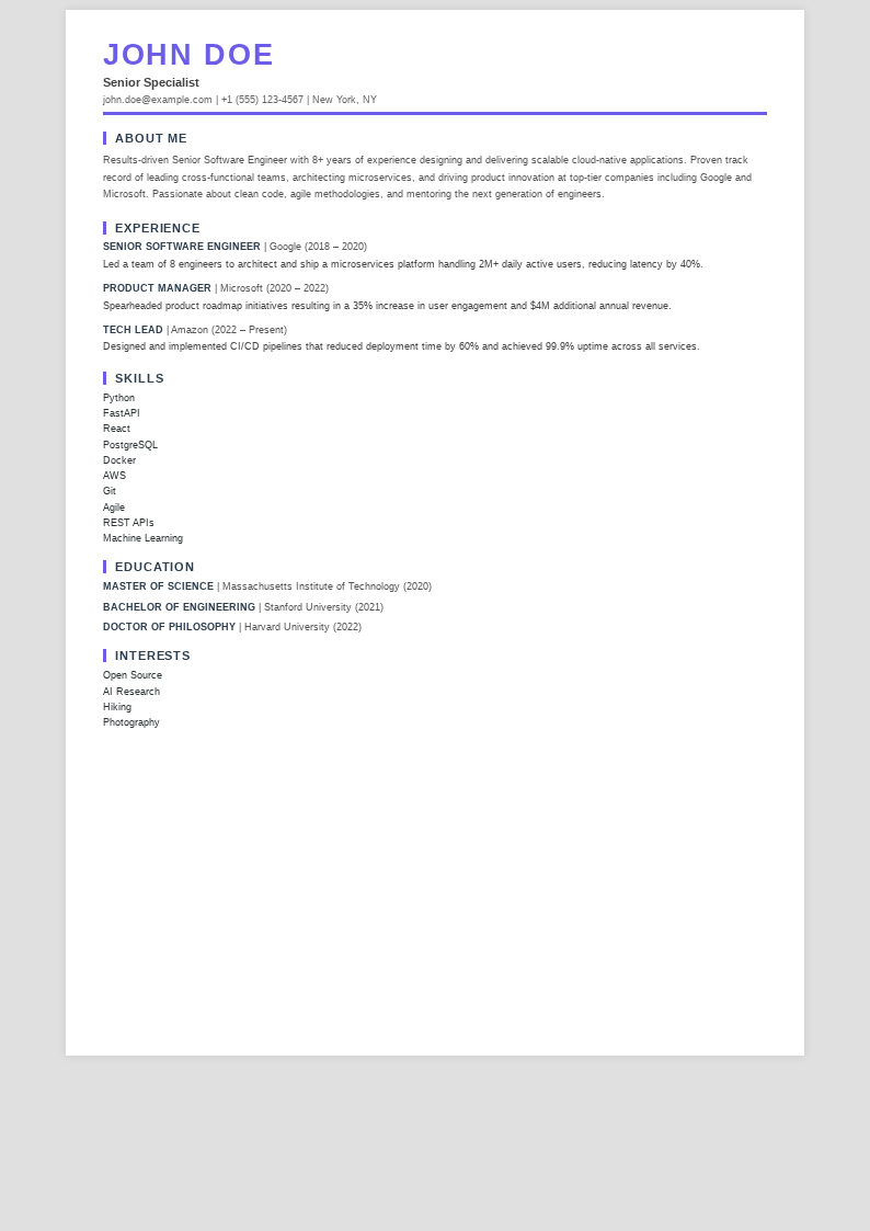 Bold Accent Resume preview