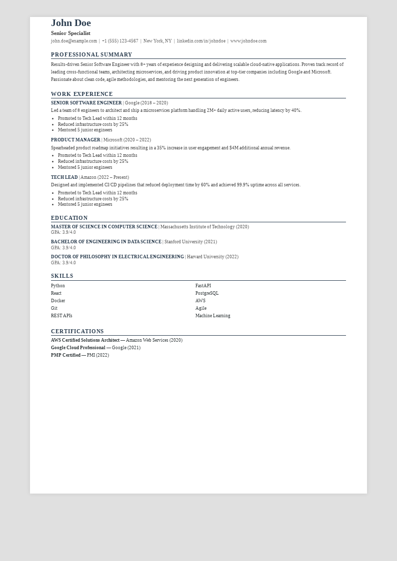 Classic Professional Resume preview